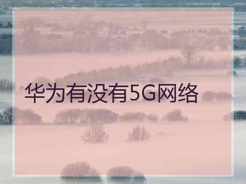 华为有没有5G网络