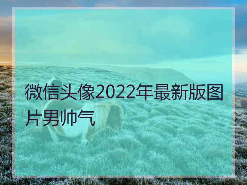 微信头像2022年最新版图片男帅气