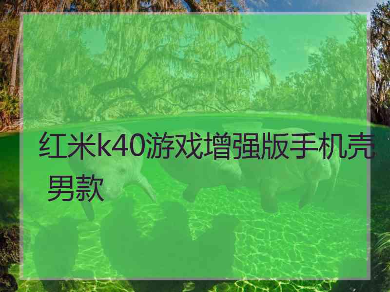 红米k40游戏增强版手机壳 男款