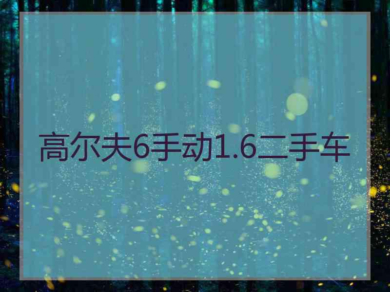 高尔夫6手动1.6二手车