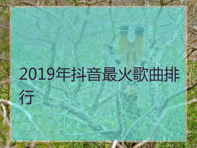 2019年抖音最火歌曲排行