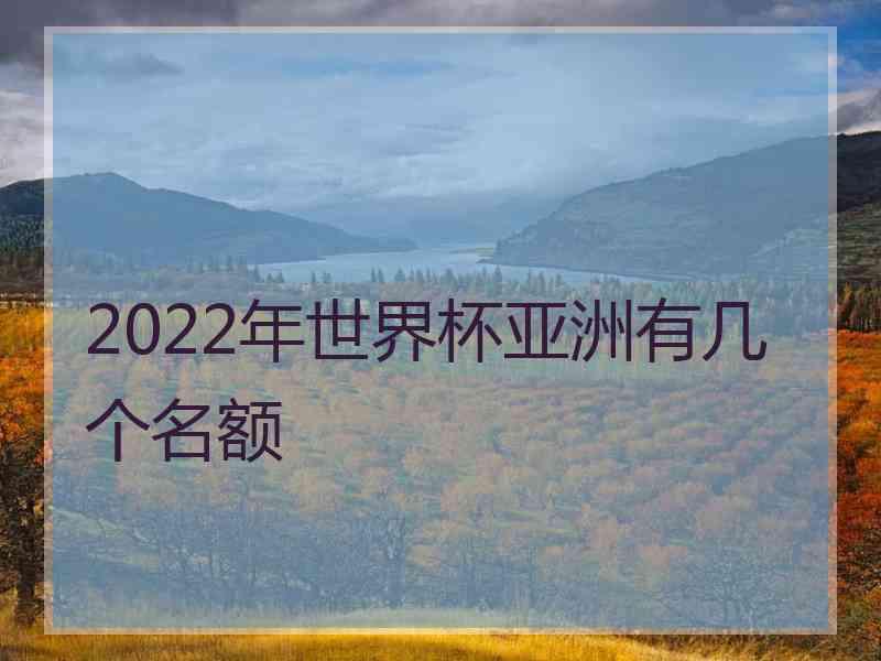 2022年世界杯亚洲有几个名额