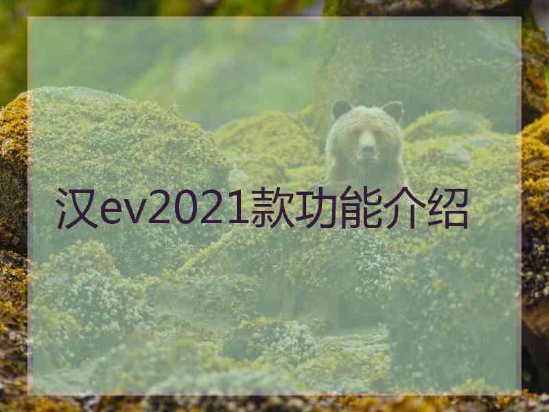 汉ev2021款功能介绍