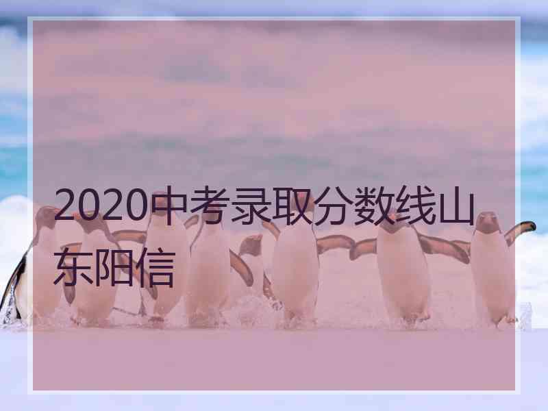 2020中考录取分数线山东阳信