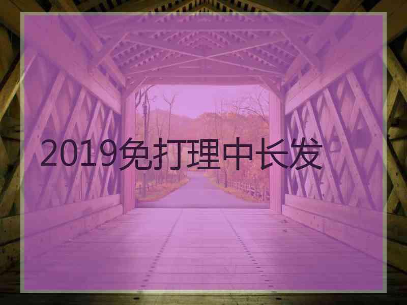 2019免打理中长发