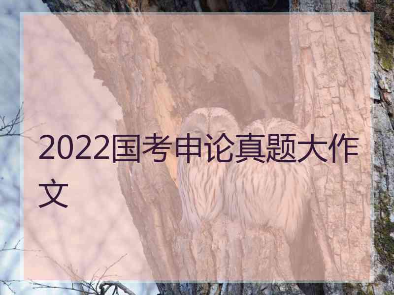 2022国考申论真题大作文