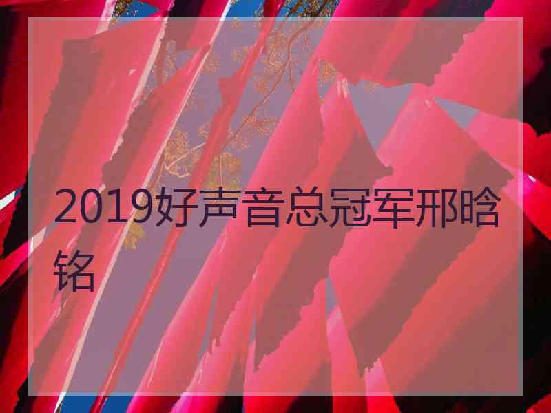 2019好声音总冠军邢晗铭