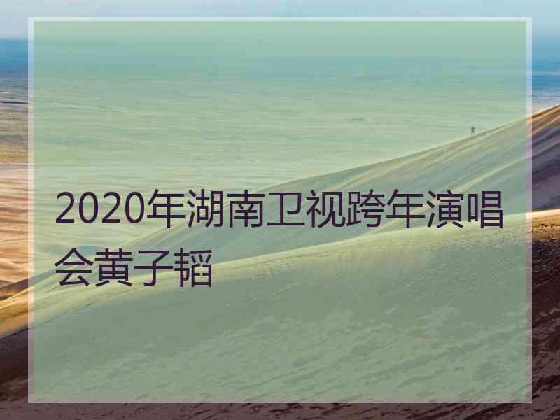 2020年湖南卫视跨年演唱会黄子韬