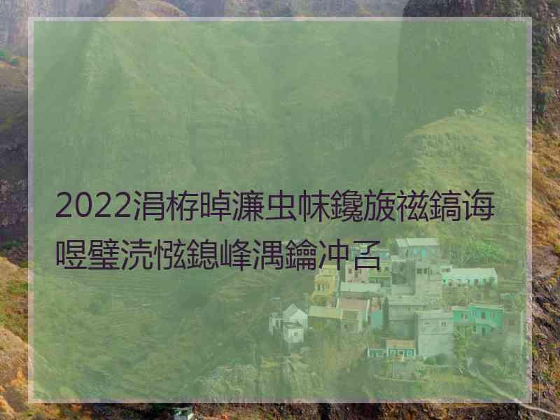 2022涓栫晫濂虫帓鑱旇禌鎬诲喅璧涜惤鎴峰湡鑰冲叾