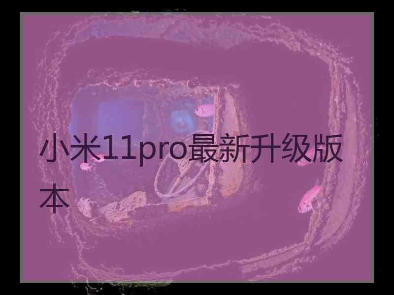 小米11pro最新升级版本