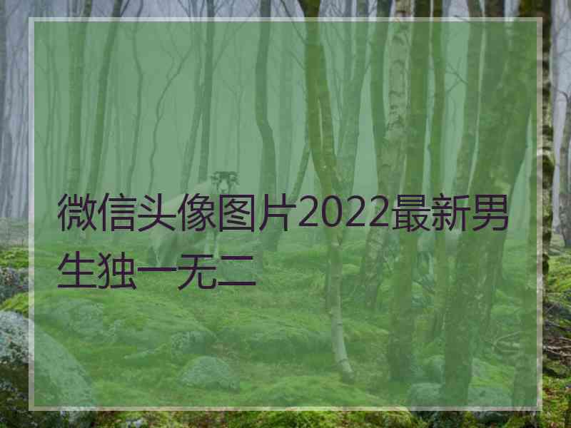 微信头像图片2022最新男生独一无二