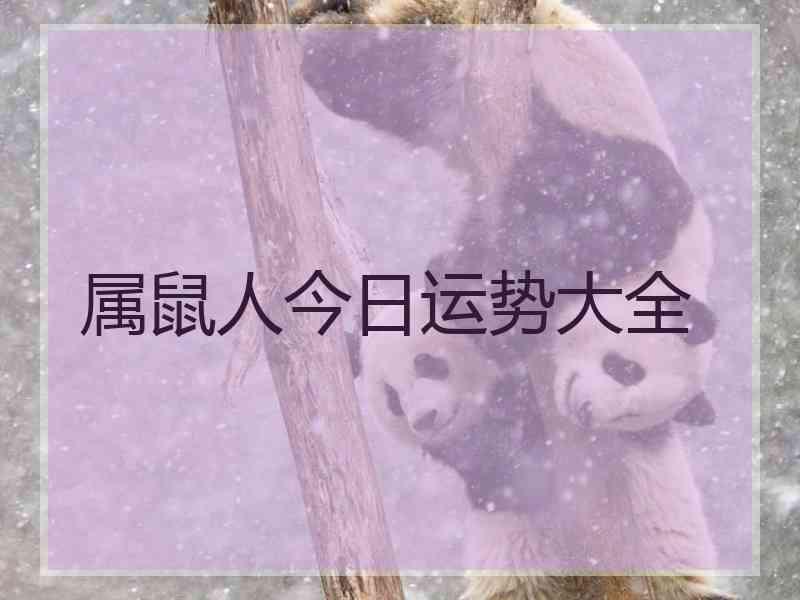 属鼠人今日运势大全