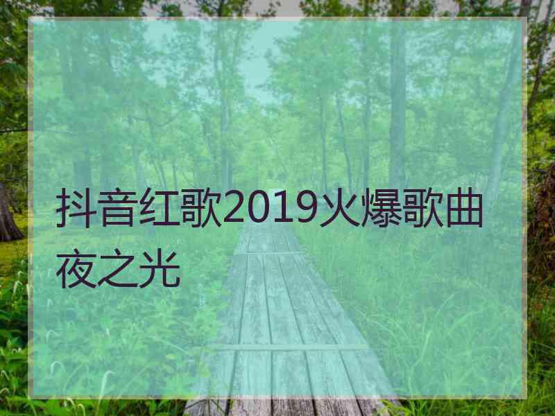 抖音红歌2019火爆歌曲夜之光