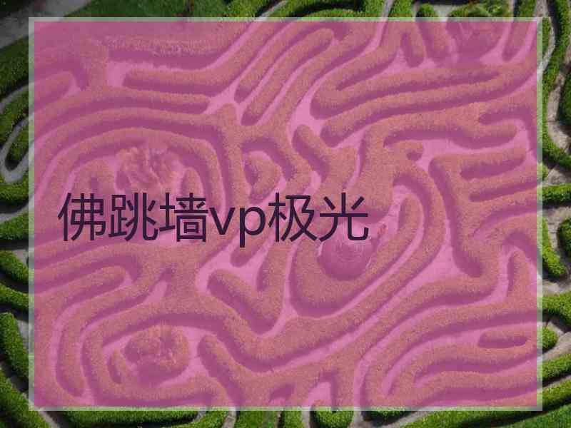 佛跳墙vp极光