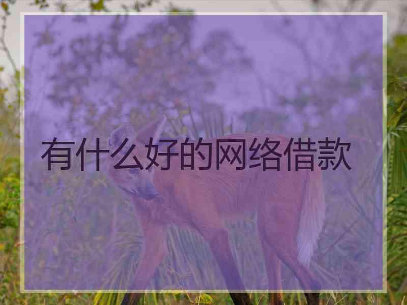 有什么好的网络借款