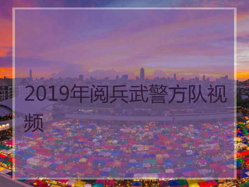 2019年阅兵武警方队视频