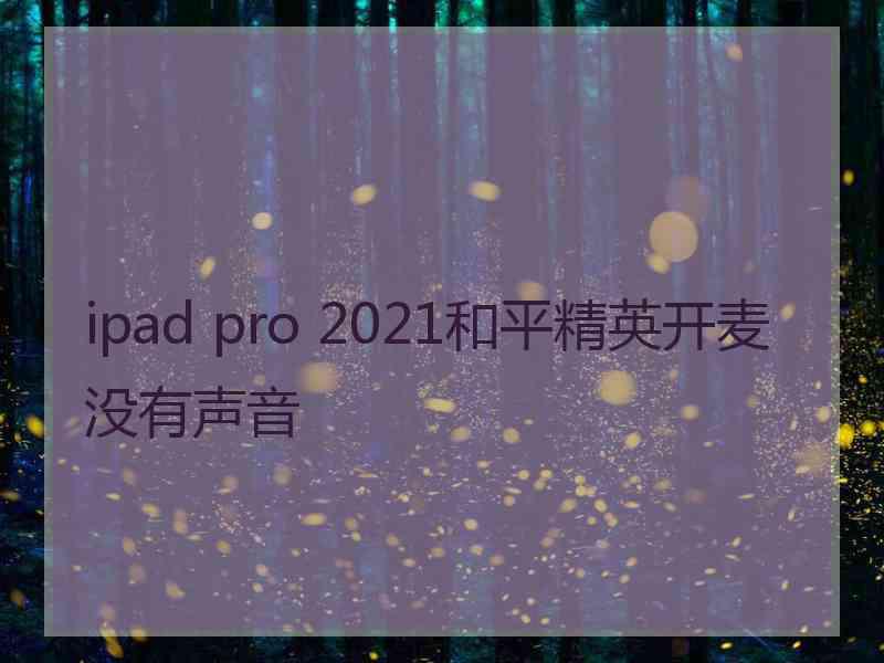 ipad pro 2021和平精英开麦没有声音