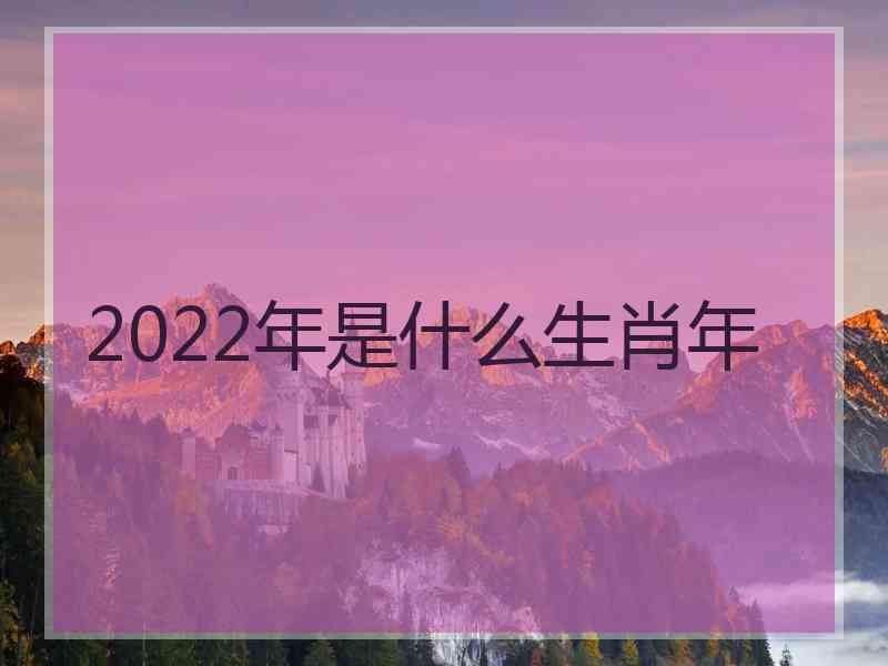 2022年是什么生肖年