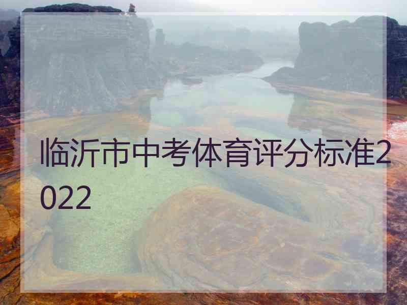 临沂市中考体育评分标准2022