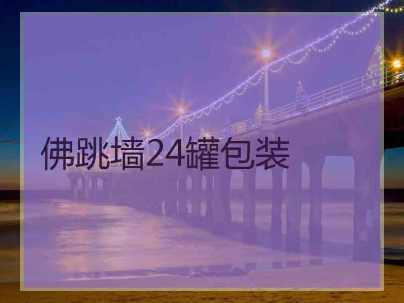 佛跳墙24罐包装