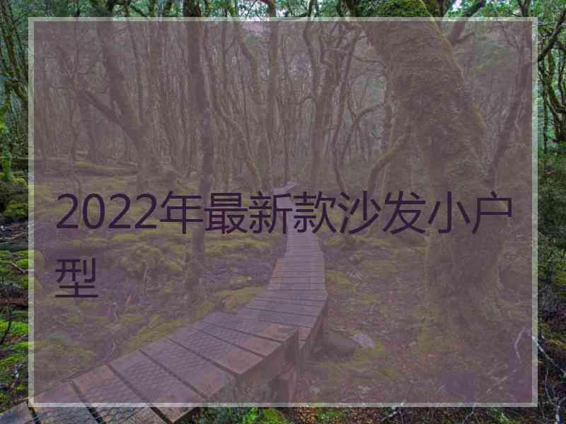 2022年最新款沙发小户型