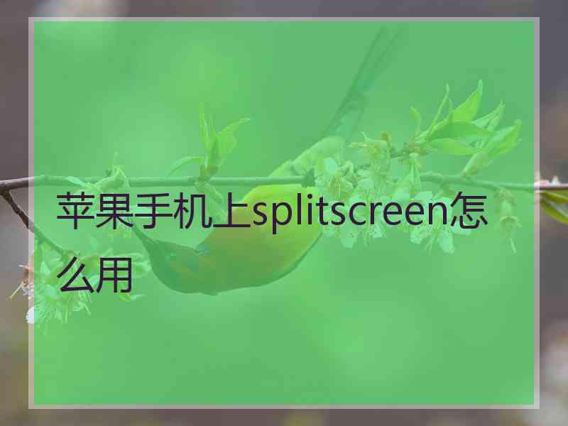 苹果手机上splitscreen怎么用