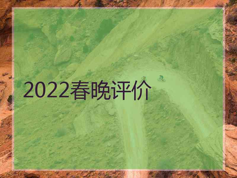 2022春晚评价