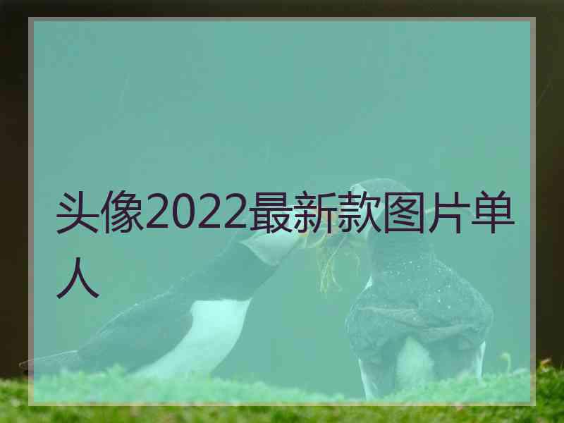 头像2022最新款图片单人