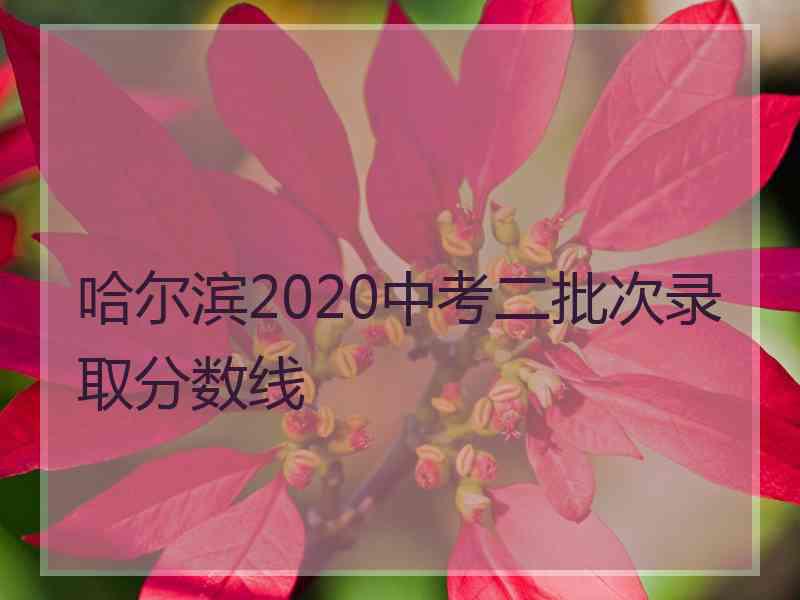 哈尔滨2020中考二批次录取分数线