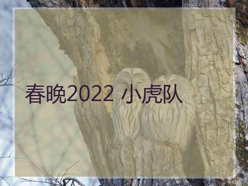 春晚2022 小虎队