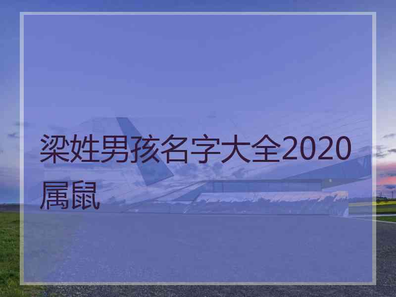 梁姓男孩名字大全2020属鼠