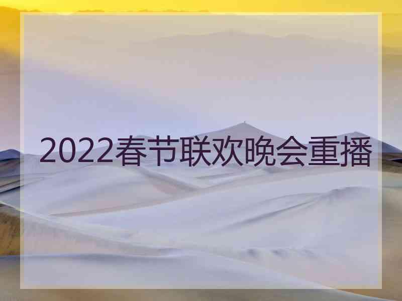 2022春节联欢晚会重播