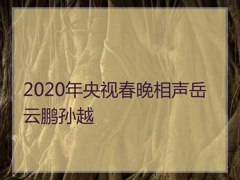 2020年央视春晚相声岳云鹏孙越