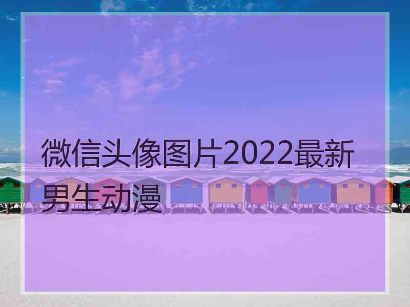 微信头像图片2022最新男生动漫