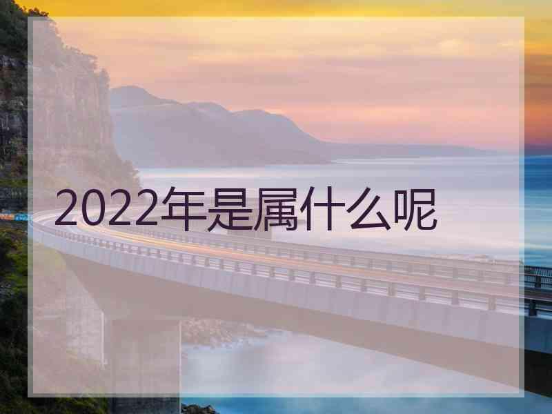 2022年是属什么呢