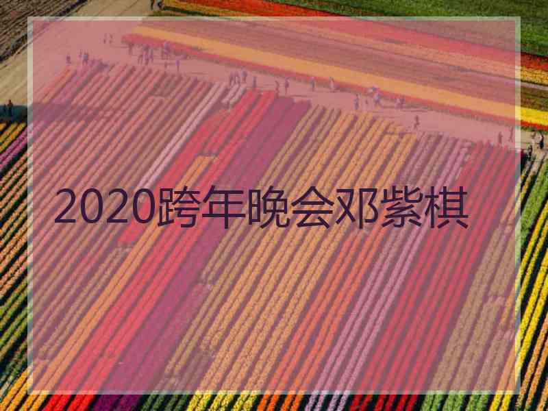 2020跨年晚会邓紫棋