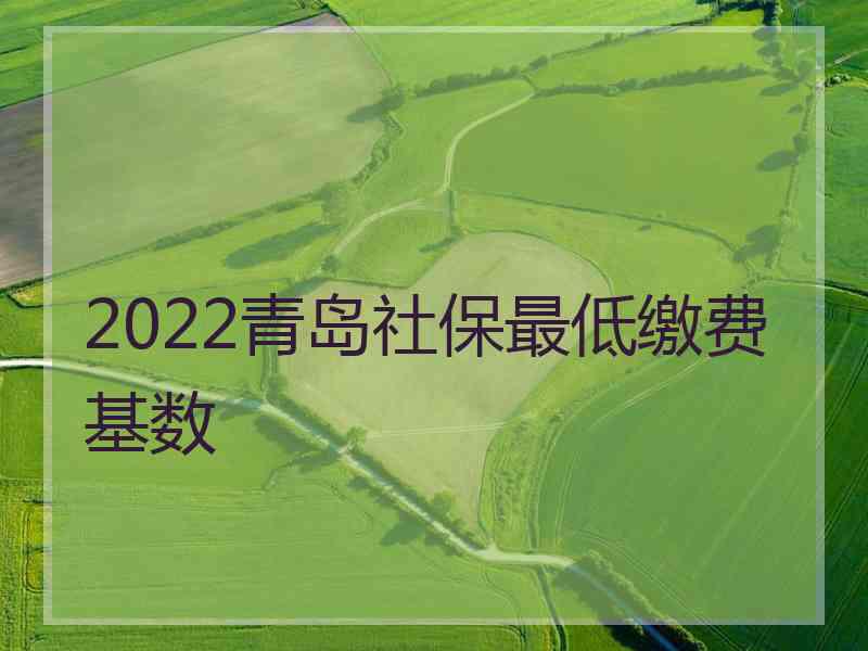 2022青岛社保最低缴费基数