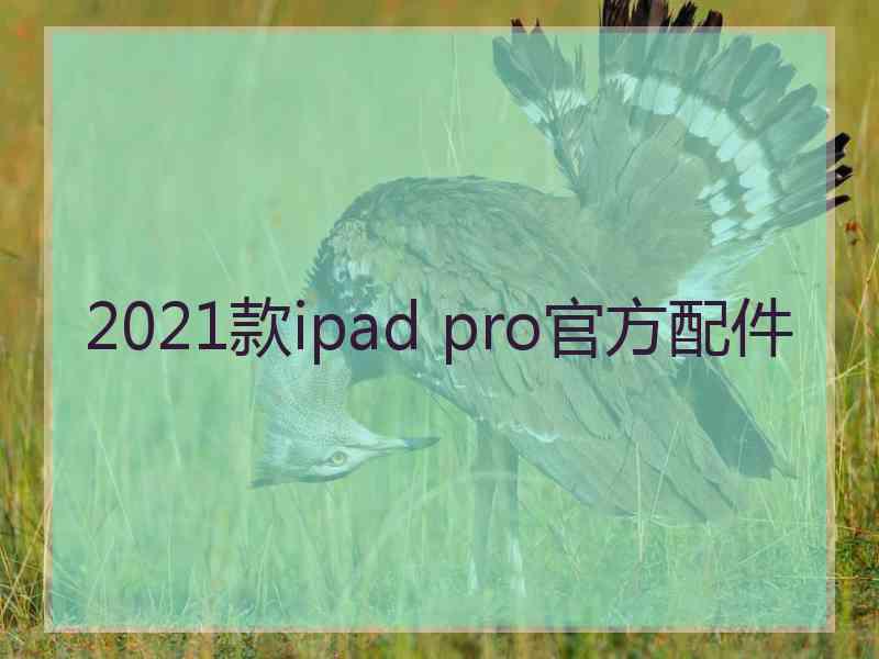 2021款ipad pro官方配件