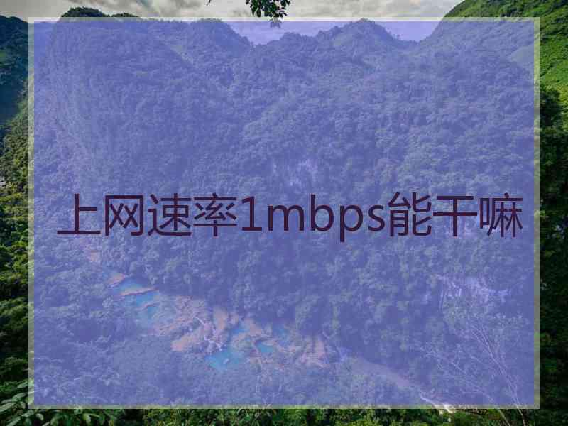 上网速率1mbps能干嘛