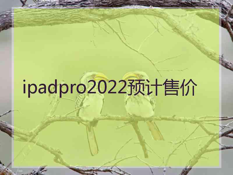 ipadpro2022预计售价