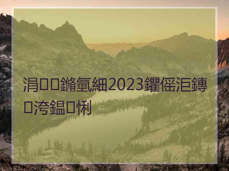 涓鏅氫細2023鑺傜洰鏄洿鎾悧