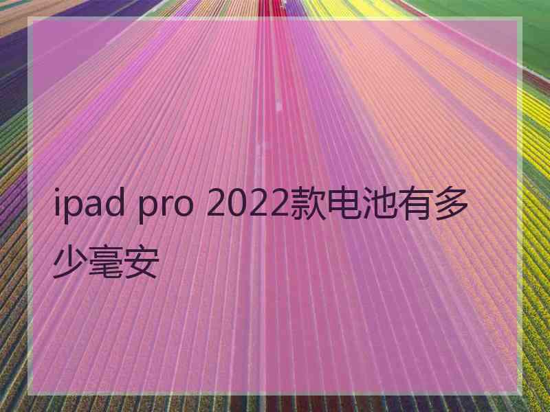 ipad pro 2022款电池有多少毫安