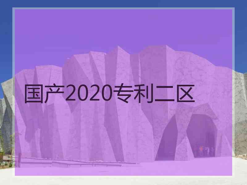 国产2020专利二区