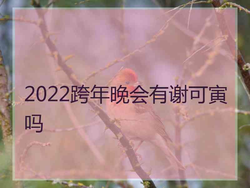 2022跨年晚会有谢可寅吗