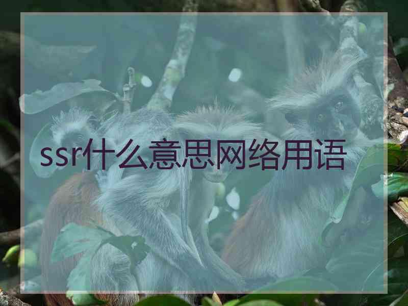 ssr什么意思网络用语