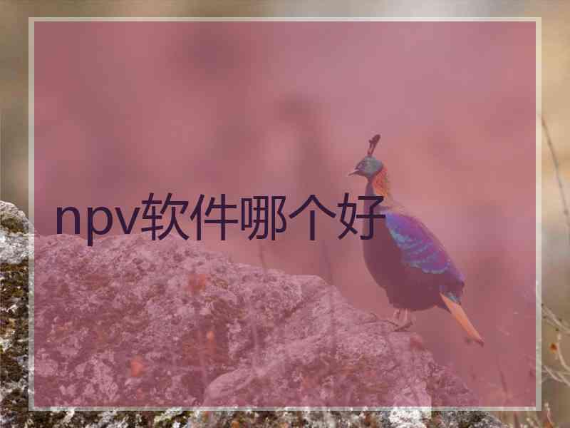 npv软件哪个好