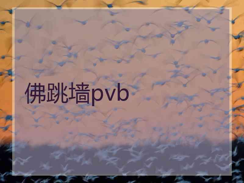 佛跳墙pvb