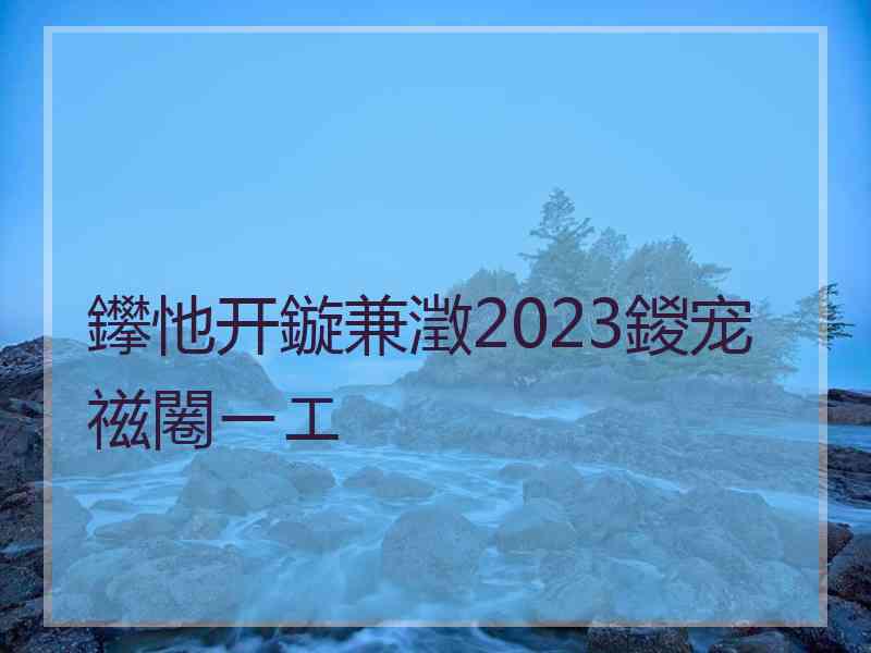 鑻忚开鏇兼澂2023鍐宠禌闂ㄧエ