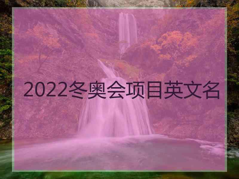 2022冬奥会项目英文名