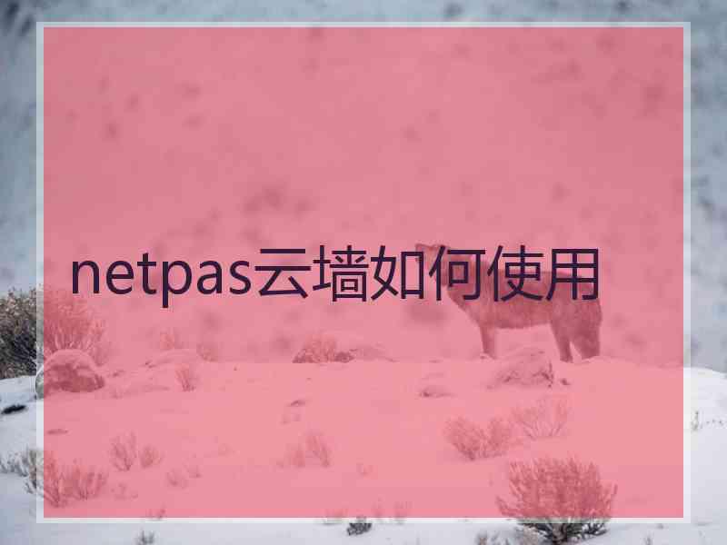 netpas云墙如何使用